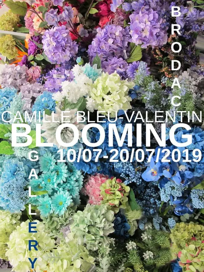 Blooming / Camille Valentin @Brodac — Galerija Brodac, Sarajevo