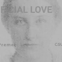 Artificial Love /// Daniel Premec Solo Show